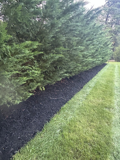 Fresh Black Mulch Bed & Hedge Line Edging