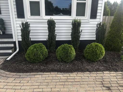 Foundation Plant Bed with Fresh Dark Mulch